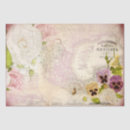 Recherche de republica Rose