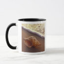 Recherche de marée tasses Rive