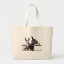 Recherche de ânes sacs Burro