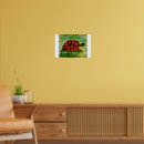 Recherche de peinture de tortue posters Pour tous