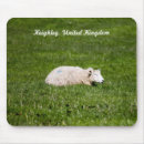Recherche de sheep tapis souris Mignon
