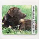 Recherche de chocolat labrador tapis souris Animal