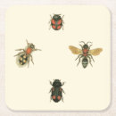 Recherche de scarabée dessous de verres Insectes