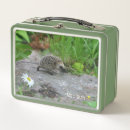Recherche de hérisson mignon aliments conservation Nature