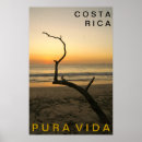 Recherche de vida posters Plage