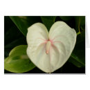 Recherche de anthure Floral