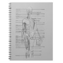 Recherche de anatomie carnets Corps