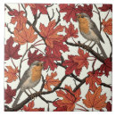 Recherche de rouge gorge carreaux Oiseau