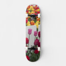 Recherche de washington skateboards Montagne