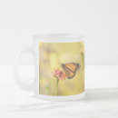 Recherche de zinnia tasses Orange