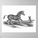 Recherche de juments et poulains art Animal