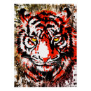 Recherche de tête tigre posters Visage de tigre