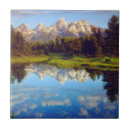 Recherche de teton grand carreaux Clair