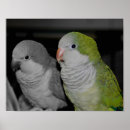 Recherche de étouffant posters Animal