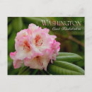 Recherche de rhododendron cartes postales Washington