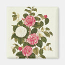 Recherche de jardin anglais magnets Fleur