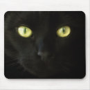 Recherche de plot réflectorisé noir Yeux