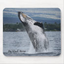 Recherche de baleines tapis souris Toute personne