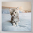 Recherche de ragondin posters Mignon