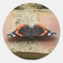 Recherche de amiral autocollants Papillon