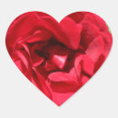 Recherche de hybrides autocollants Rose