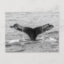 Recherche de bosse cartes postales Nature