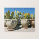 Recherche de cactus puzzles Photographie
