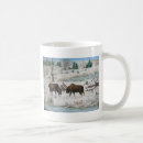 Recherche de orignaux de taureau tasses Chasse