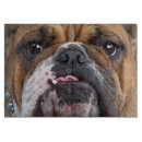 Recherche de bouledogue français planches à découper Animaux