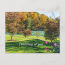 Recherche de dogwood cartes postales Automne