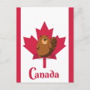 Recherche de castors cartes postales Canada