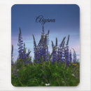Recherche de fleur lupin tapis souris Violet