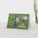 Recherche de condoléances de cheval vœux cartes Équin