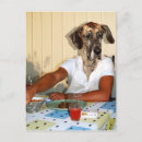 Recherche de humour bizarre cartes postales Animal