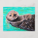 Recherche de loutres mer cartes postales Loutre de mer