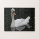 Recherche de cygne blanc puzzles Oiseaux