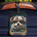 Recherche de chien drôle accessoires Animal