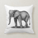 Recherche de éléphant africain coussins Animaux