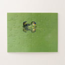 Recherche de amphibien puzzles Grenouille verte