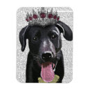 Recherche de labrador noir magnets Contemporain