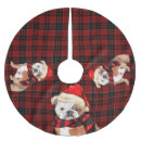 Recherche de anglais jupon de sapin Animaux domestiques