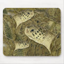 Recherche de tortue verte tapis souris Côtier