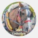 Recherche de chevaux de trait autocollants Équipe