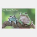 Recherche de grenouille rectangles autocollants Crapaud