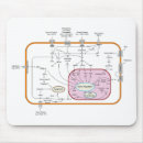 Recherche de diagramme tapis souris Signal