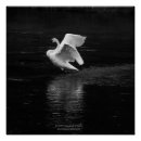 Recherche de oiseau de b art Faune