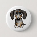 Recherche de merle badges Dog