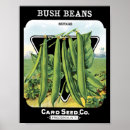 Recherche de graine art Rétro