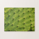 Recherche de cactus puzzles Photographie
