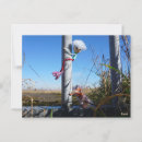 Recherche de haies cartes postales Faune